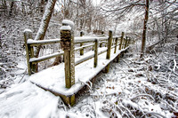 Winter 1, UW Arboretum, Madison, Wisconsin