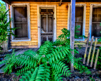 Abandoned House, Chinese Camp, California