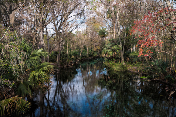 Silver Springs State Park, Florida