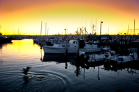 Sunset, Point Loma, San Diego, California